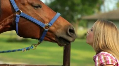 güzel kız onun at havuç besleme