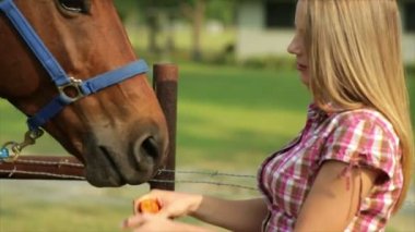 Onun at havuç besleme ve oynayan köylü kızı