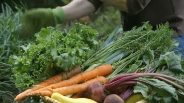 gardner çekilen sebze dolu sepeti toplama