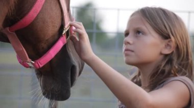 Genç kız fırçalar atını yele altında