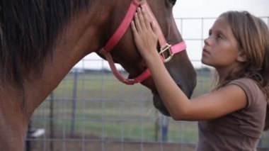 Genç kız fırçalar atını yele altında