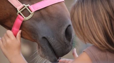 Genç kız fırçalar atını yele altında