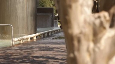 Dolly işkadını hücre yürüyüş