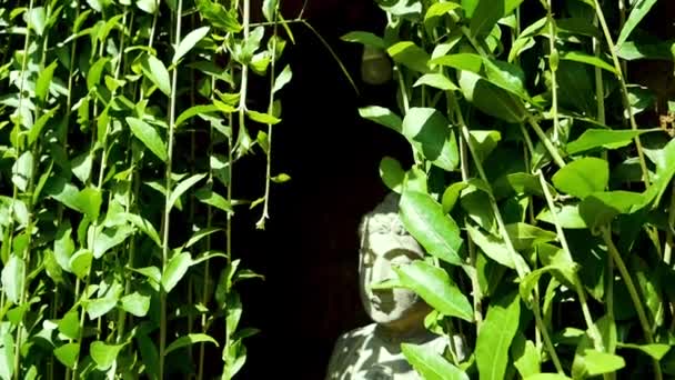 Balinese Hindoe standbeeld in de schaduw van groen en planten — Stockvideo