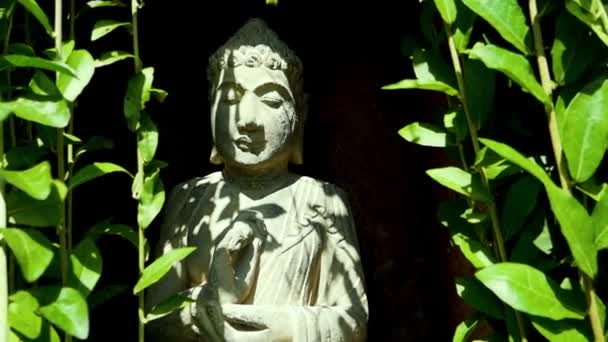 Balinéz hindu szobor az akasztott növények árnyékában Stock Felvétel