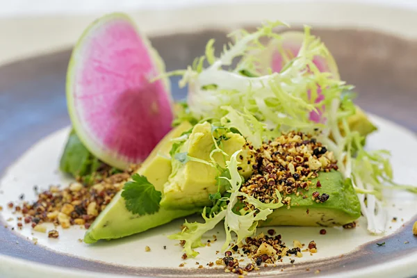 Gekoeld Avocado salade — Stockfoto