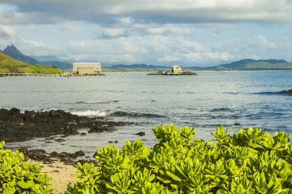 Makai forskning Pier — Stockfoto