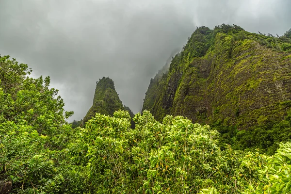 Ago di Iao — Foto Stock