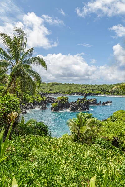 Waianapanapa — Fotografia de Stock