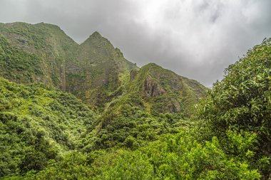 IAO Vadisi