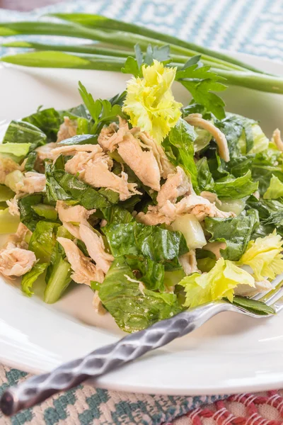 Kinesisk kycklingsallad — Stockfoto