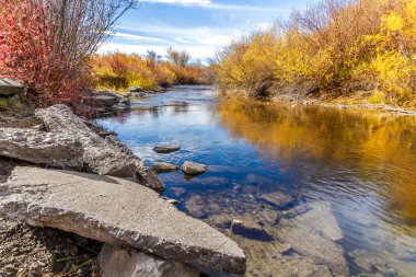 Cherry Creek korumak