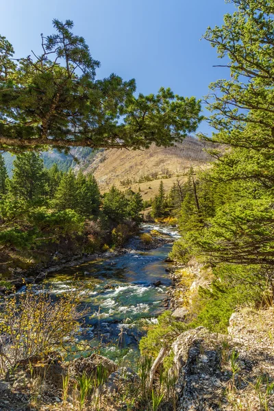 Natural Bridge Park — Stock Photo, Image