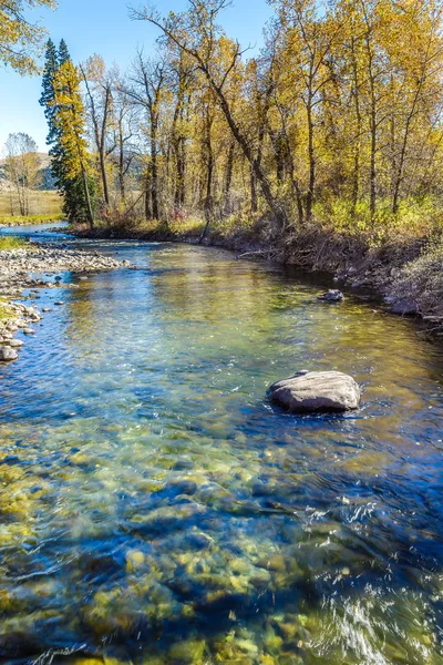 River (West Boulder) — Stockfoto