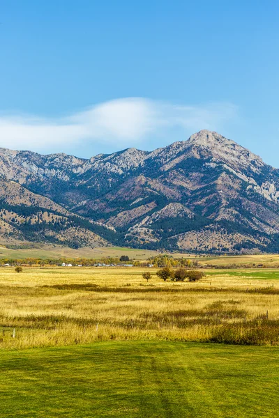 Bridger Mountain Fields — Stock Photo, Image