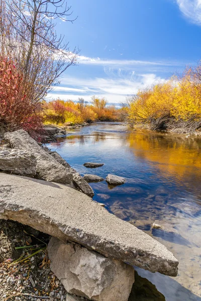 Cherry Creek zachovat — Stock fotografie