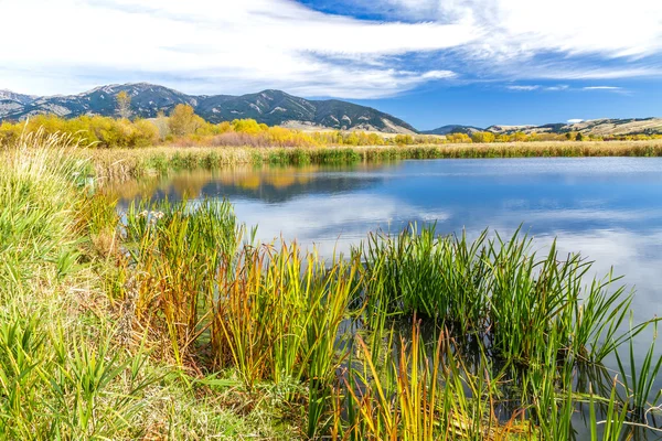 Cherry Creek Preserve — Stock Photo, Image