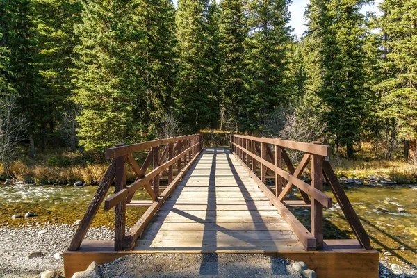 Hyalite Creek Bridge — Stockfoto