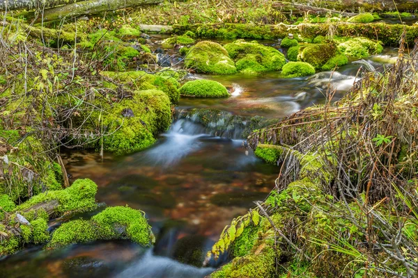 Mossy Rock Stream — Stock Photo, Image