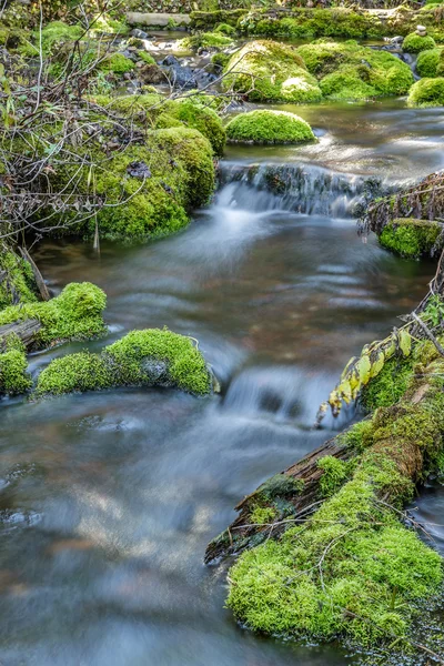 Mossy Rock Stream — Stock Photo, Image