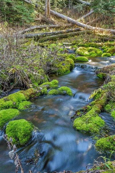 Mossy Rock Stream — Stock Photo, Image