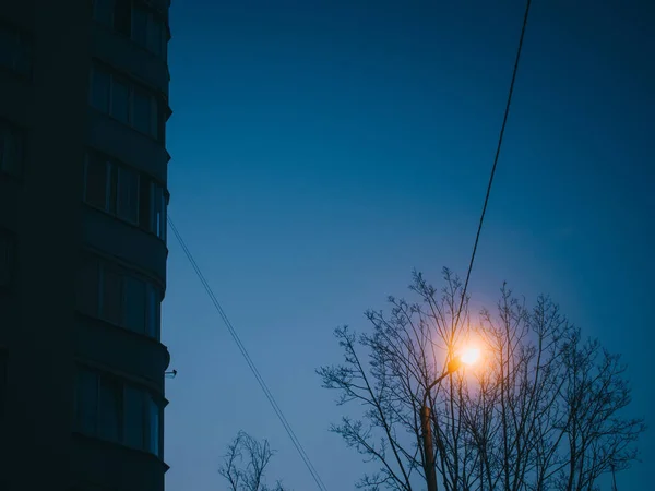 Pouliční Lampa Noci Proti Tmavé Obloze Moskva — Stock fotografie