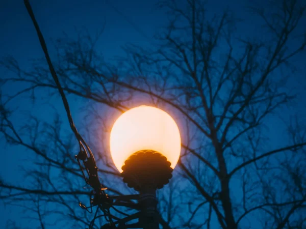 Lámpara Calle Noche Contra Cielo Oscuro Moscú —  Fotos de Stock