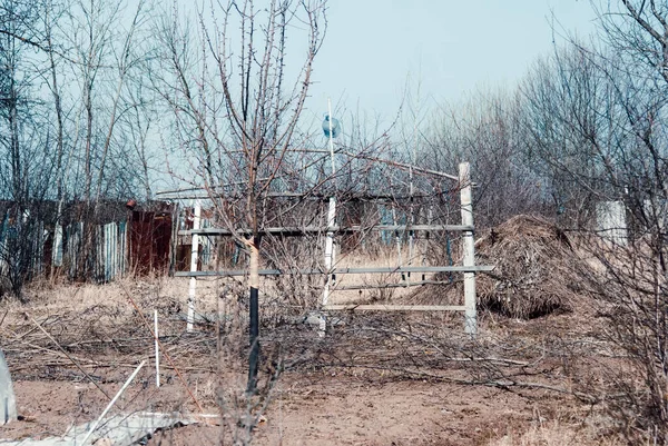 Gartengabel Mit Kopierraum Auf Dem Alten Baumstamm Auf Dem Hintergrund — Stockfoto