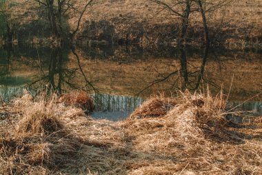 Açık bir sabahta, baharda küçük bir nehir, Rusya