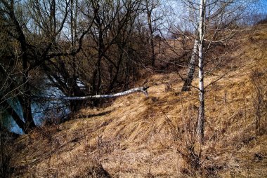 Açık bir sabahta, baharda küçük bir nehir, Rusya