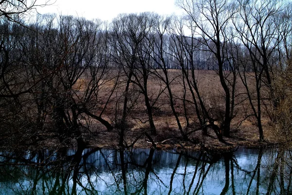 Kleiner Fluss Frühling Einem Klaren Morgen Russland — Stockfoto