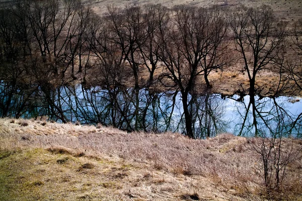 春天里清澈的小河 俄罗斯 — 图库照片