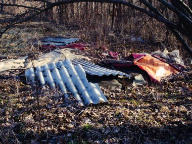 Rusya 'daki eski köyde bahar bahçesi