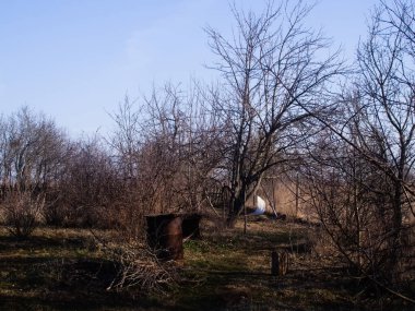 Rusya 'daki eski köyde bahar bahçesi