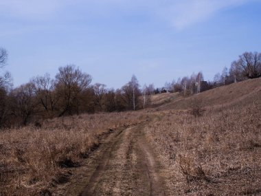 Rusya 'nın baharda nehir kıyısında kuru çimenler.