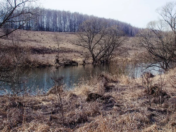 Маленькая Речка Весной Ясным Утром Россия — стоковое фото