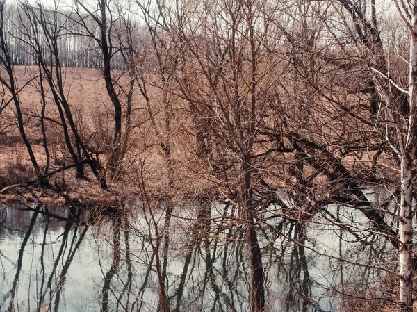 Маленькая Речка Весной Ясным Утром Россия — стоковое фото