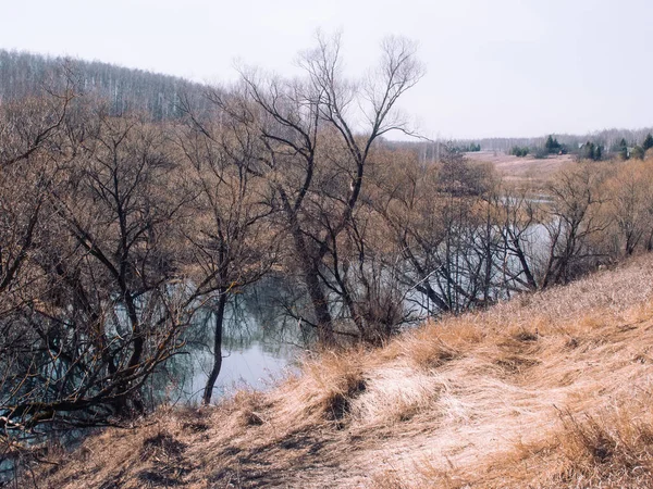 Kleiner Fluss Frühling Einem Klaren Morgen Russland — Stockfoto