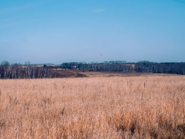 İlkbaharda Rusya 'da köyün kıyısındaki toprak yol.