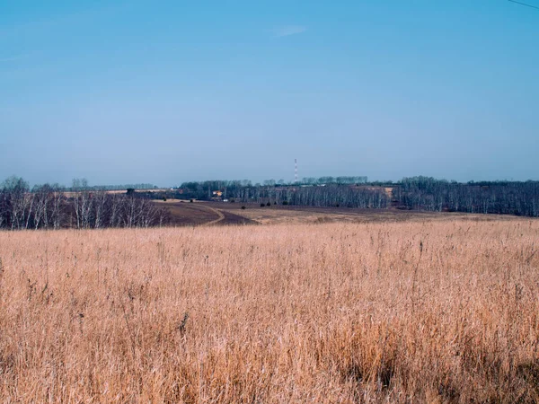 İlkbaharda Rusya 'da köyün kıyısındaki toprak yol.