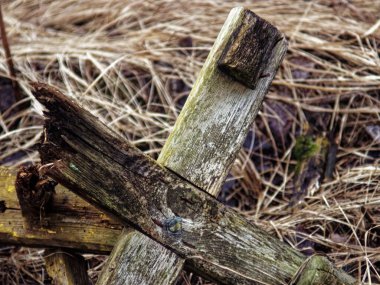 remnants of a wooden fence on the grass, Russia