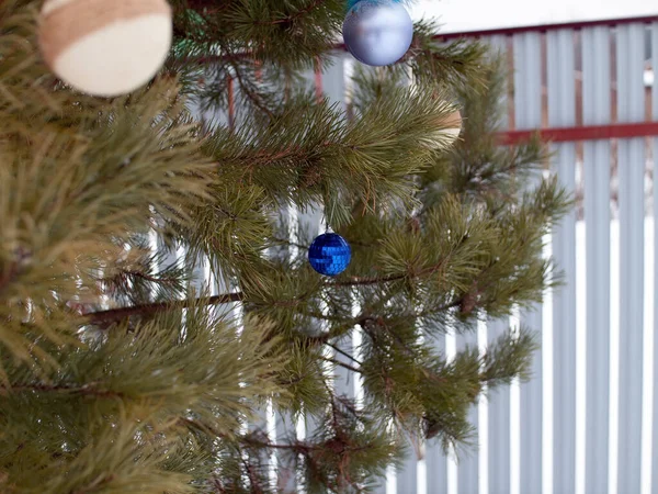 Bożonarodzeniowa Zabawka Choince Ulicy Rosja — Zdjęcie stockowe