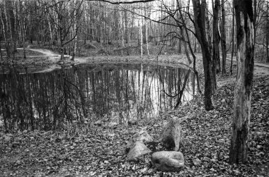 Parktaki gölet Sonbaharda, Moskova