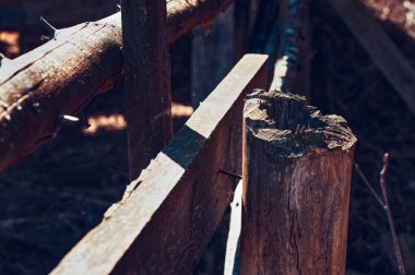 Atlar için çit çayırı, bahar