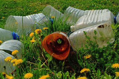 Rusya 'da ilkbaharda sarı kır çiçekleri