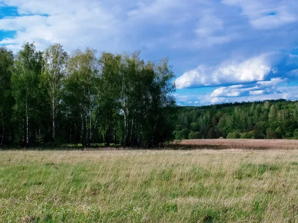 Rusya kırsalında mavi bulutlu bahar gökyüzü