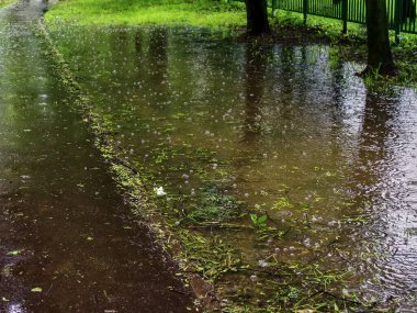 Parkta şiddetli yağmur ve su birikintileri, yaz mevsimi