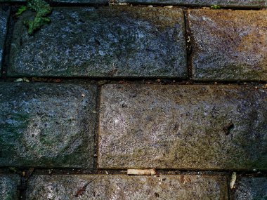 walk of tiles in the park, in summer