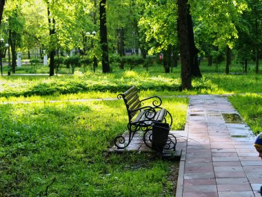 Yazın, parktaki kiremitlerin üzerinde gölgeler