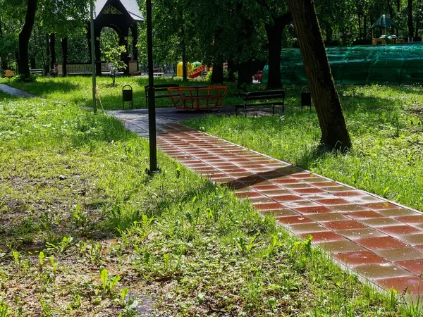 Sombras Camino Las Baldosas Parque Verano —  Fotos de Stock